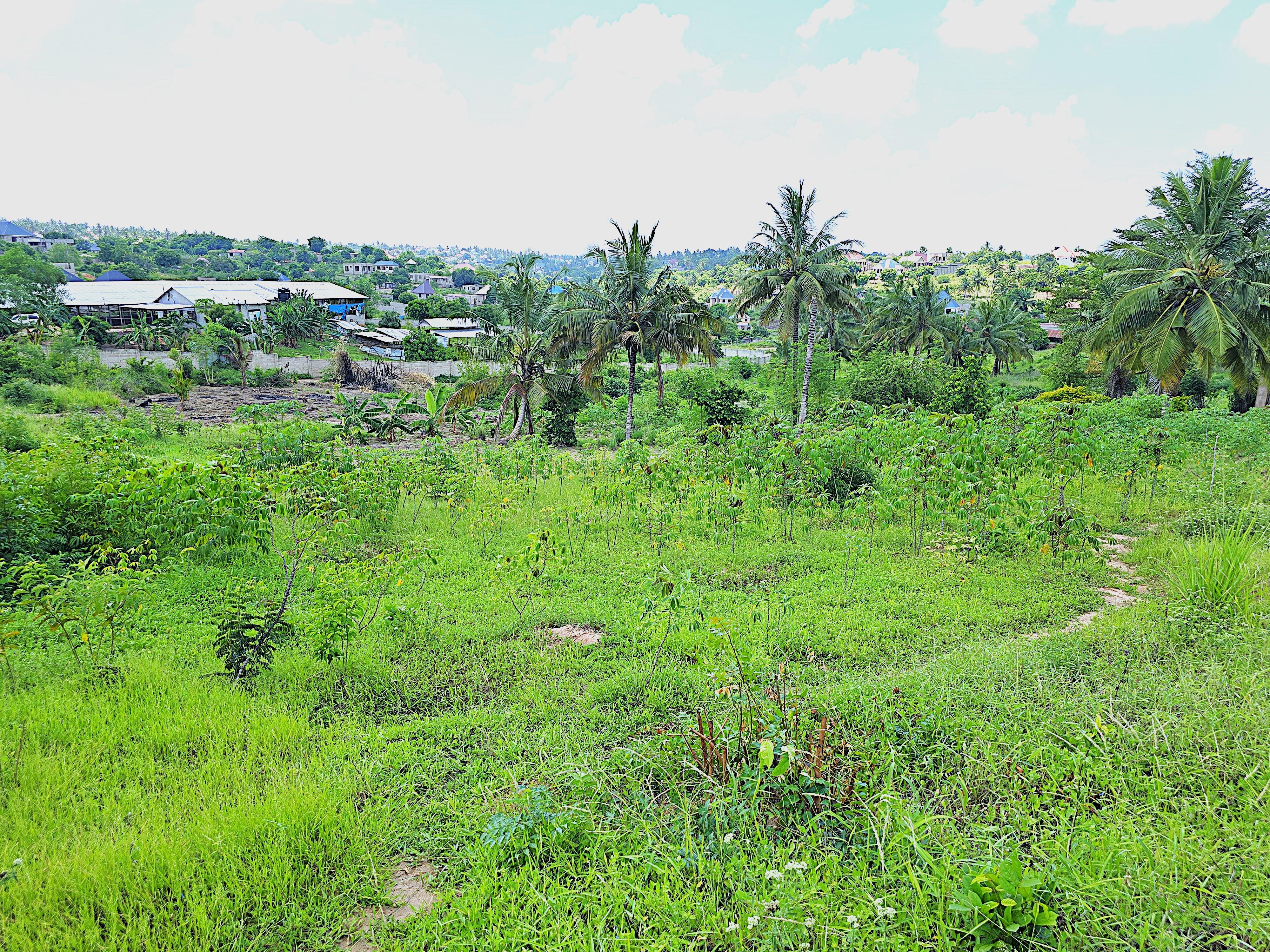 Product image for Plots for Sale in Goba Lastanza Dar es salaam
